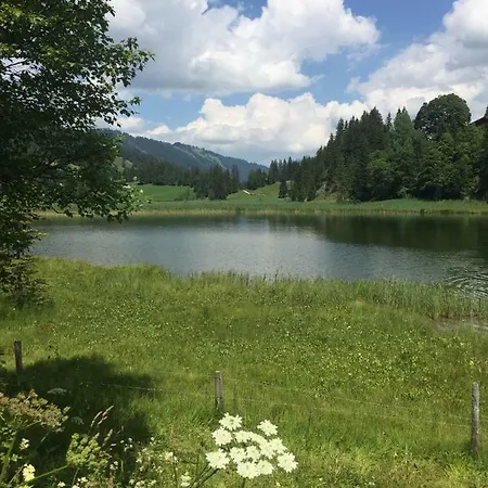 La Soldanelle Chateau-d'Oex
